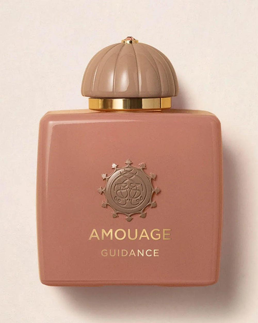 Amouage Guidance Eau de Parfum 100 ml bottle