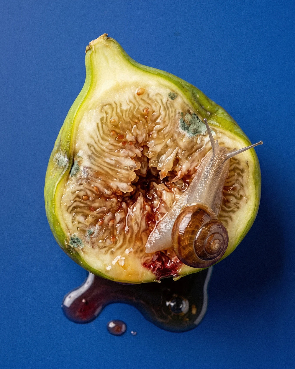 BORNTOSTANDOUT Fig Porn Eau de Parfum (50ml) – afbeelding 4
