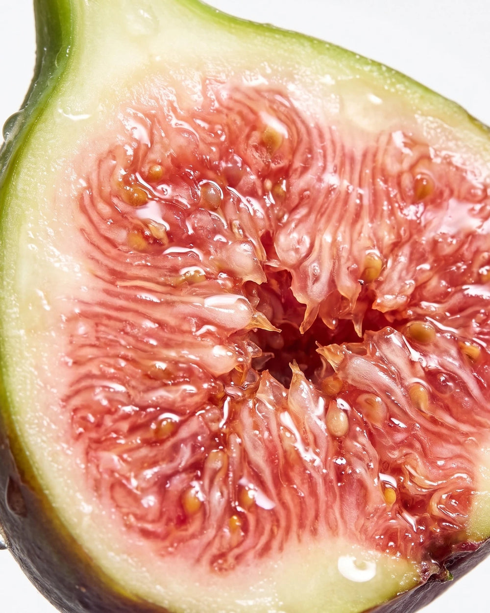 BORNTOSTANDOUT Fig Porn Eau de Parfum (50ml) – afbeelding 6