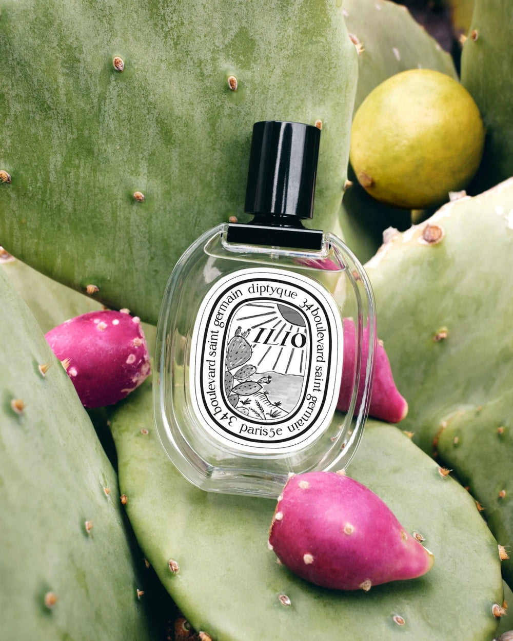 Diptyque Ilio Eau de Toilette (100ml) – afbeelding 3