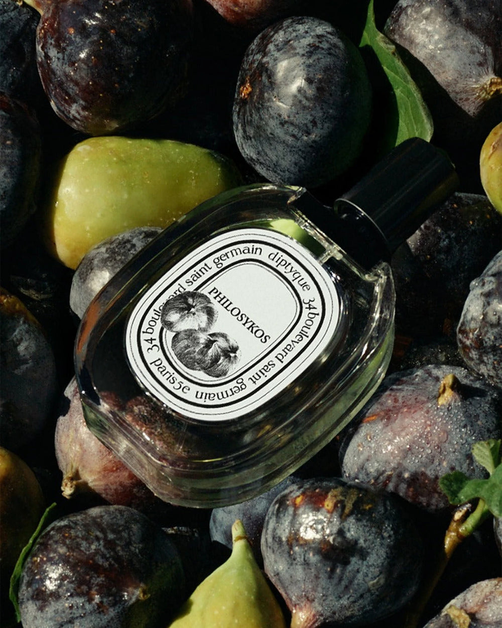 Diptyque Philosykos Eau de Toilette (100ml) – afbeelding 3