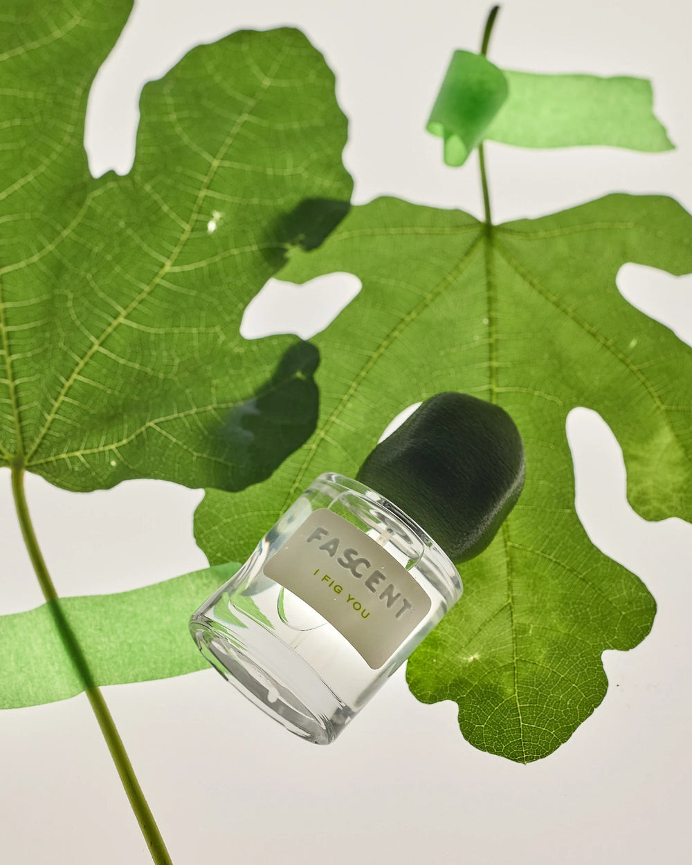 Fascent I Fig You Eau de Parfum (30ml) – afbeelding 4