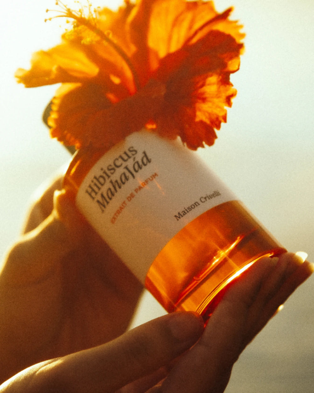 Maison Crivelli Hibiscus Mahajád Extrait de Parfum (100ml) – afbeelding 4