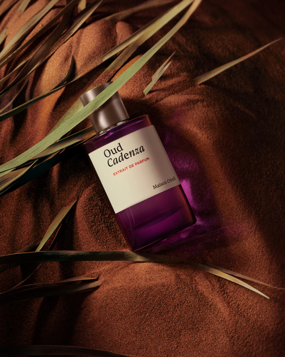 Maison Crivelli Oud Cadenza Extrait de Parfum (100ml) – afbeelding 4