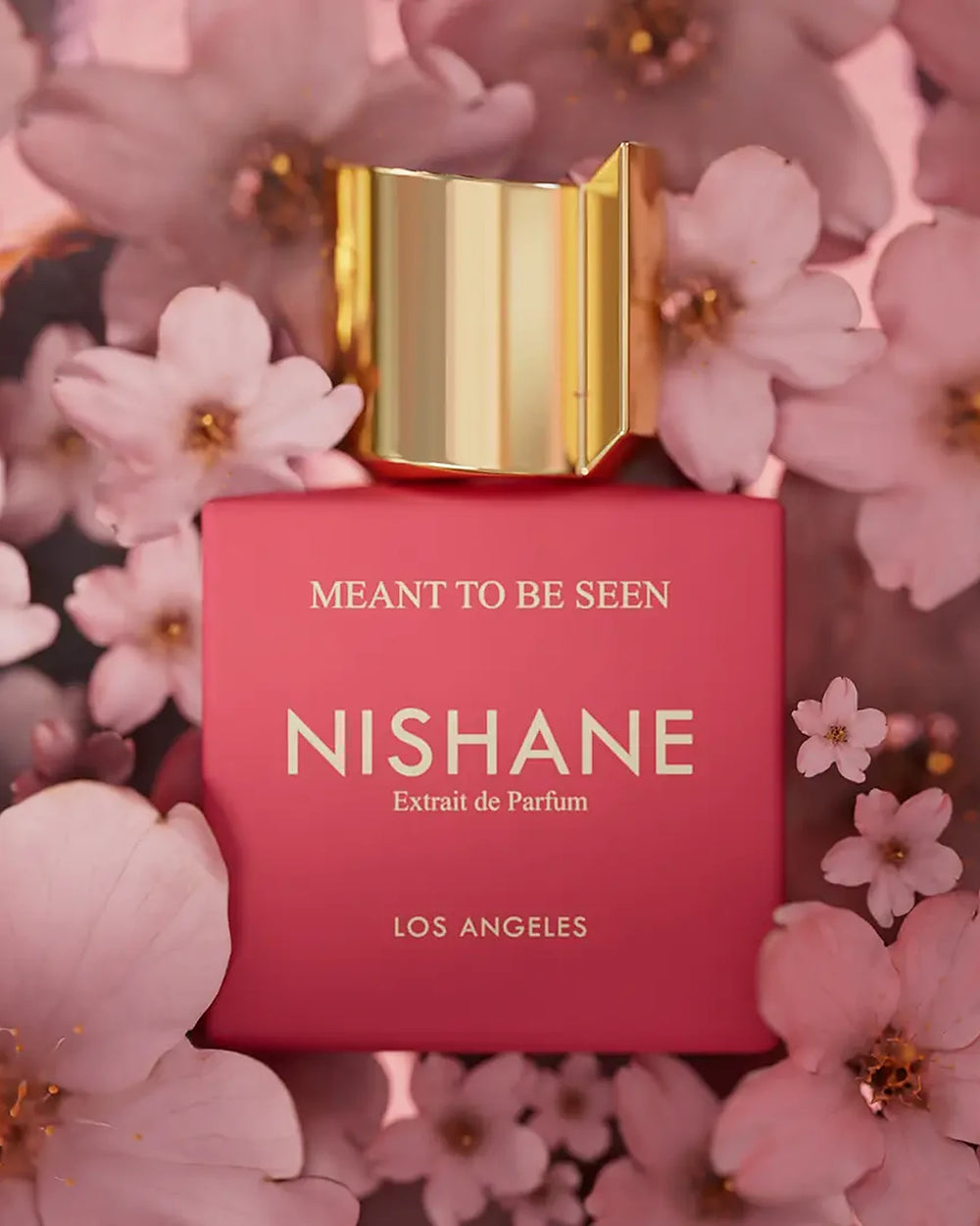 Nishane Meant to Be Seen Extrait de Parfum (50ml) – afbeelding 2