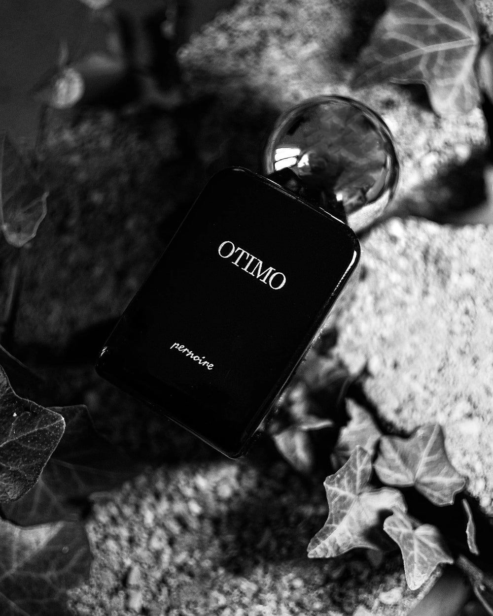 Pernoire Otimo Extrait de Parfum (50ml) – afbeelding 3