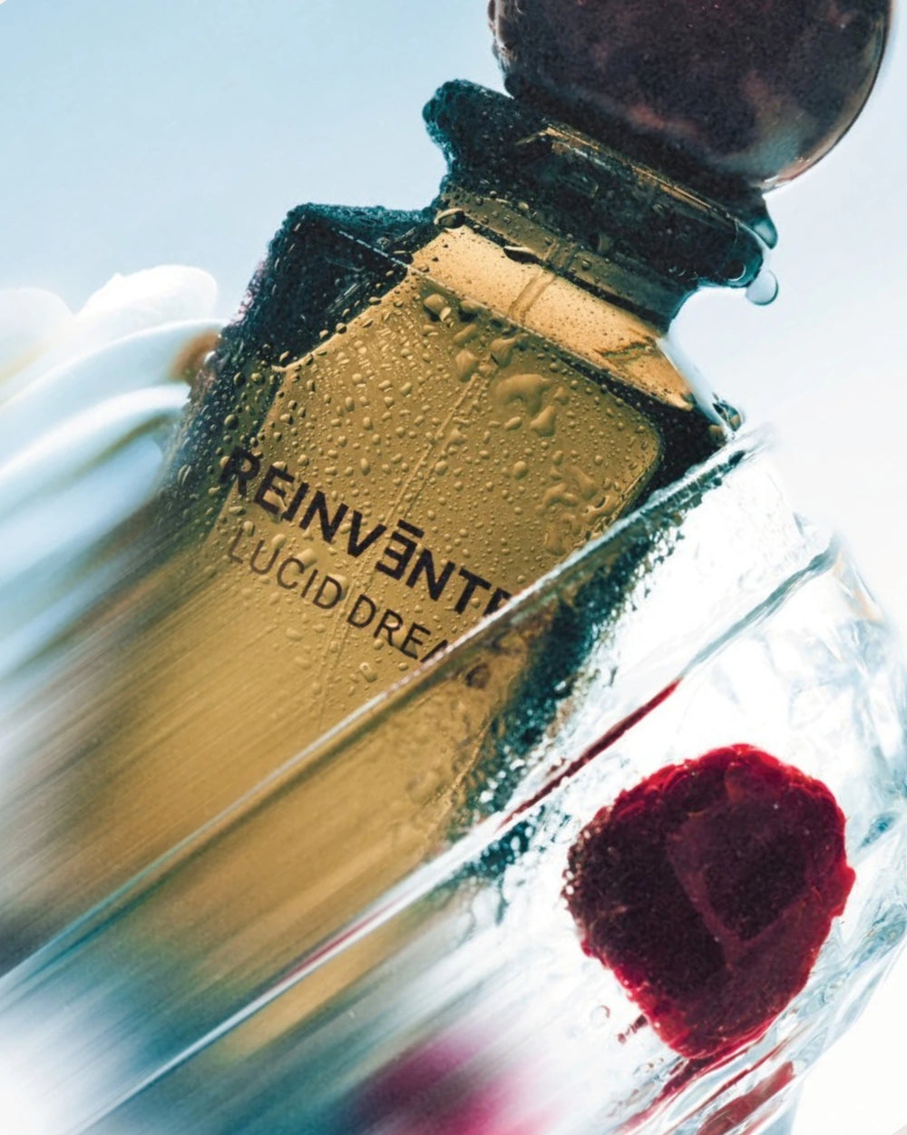Reinvented Lucid Dream Extrait de Parfum (75ml) – afbeelding 6