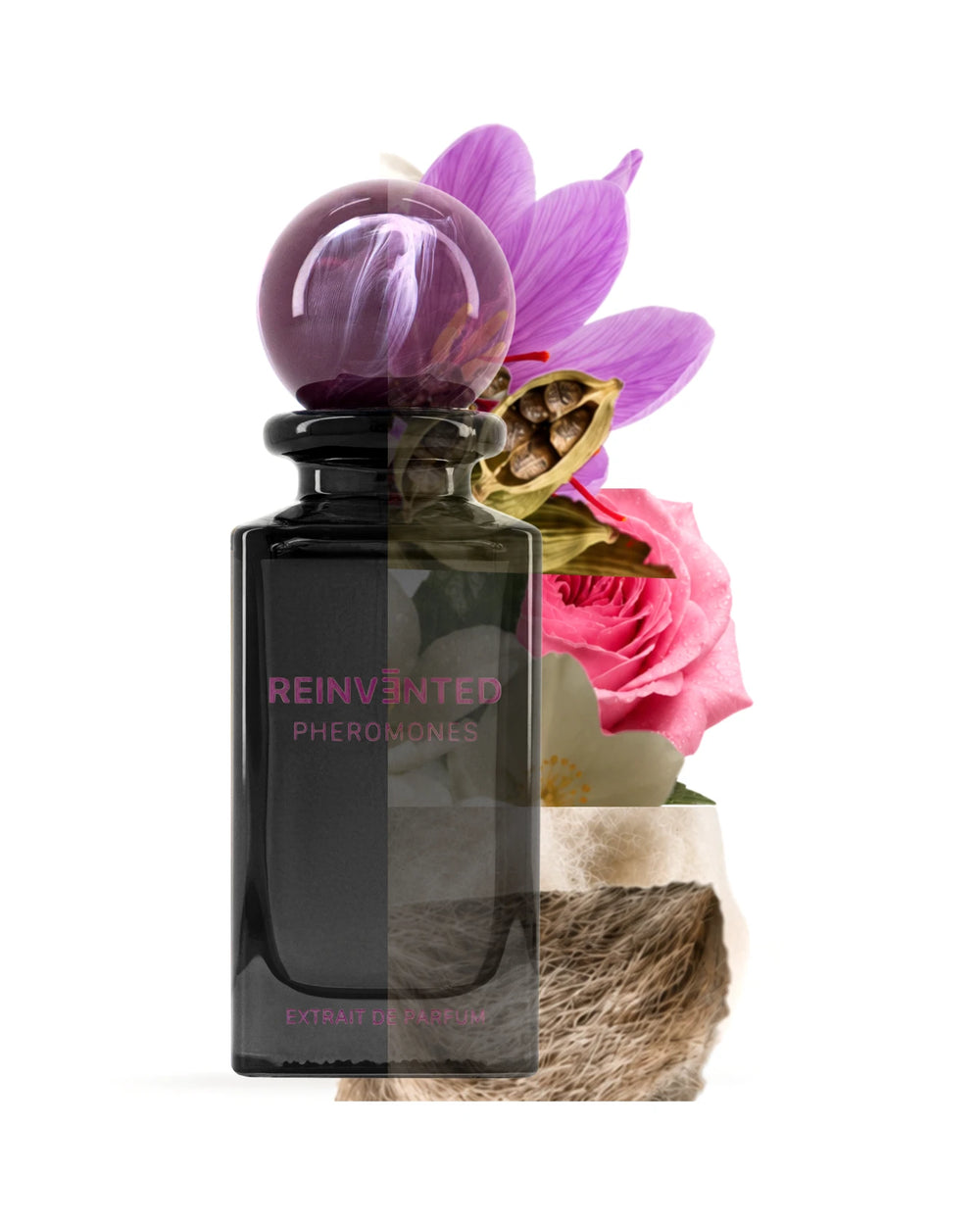 Reinvented Pheromones Extrait de Parfum (75ml) – afbeelding 5