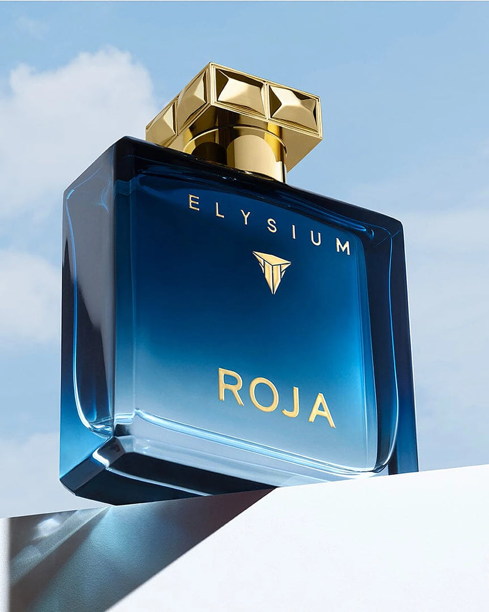 Roja Parfums Elysium Pour Homme Eau de Parfum (100ml) – afbeelding 3